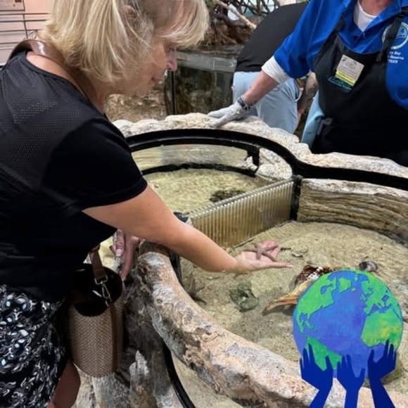 Meet your Posher, Ruth - Picture 1 of 1